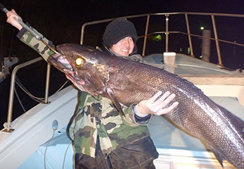 珍生物ハンター 平坂寛も唸る 東京湾で深海魚が釣れて しかも美味 特集 スルガ銀行 Dバンク支店