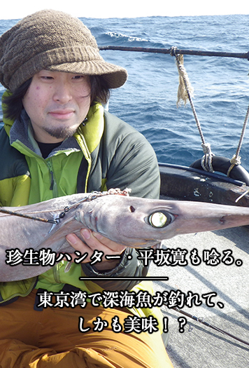 珍生物ハンター 平坂寛も唸る 東京湾で深海魚が釣れて しかも美味 特集 スルガ銀行 Dバンク支店
