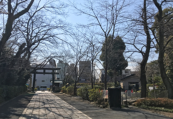 松陰神社 参道