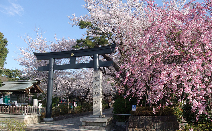 松陰神社