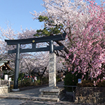 〈松陰神社〉参拝。 吉田松陰のように、志高く仕事に打ち込めますように…！ 〈開運〉で夢をつかもう！！d-laboパワースポット女子部 Vol.35