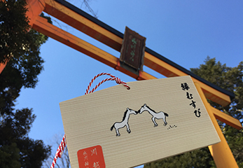 川越氷川神社 絵馬