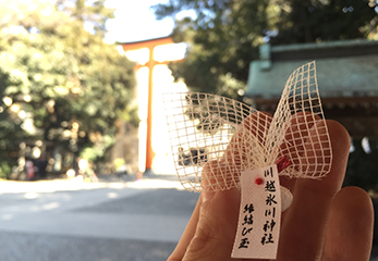 川越氷川神社 縁結び玉