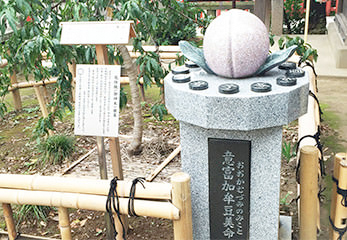 川越八幡宮 回転恵比寿像