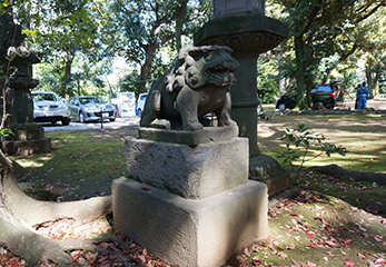 赤坂氷川神社 狛犬