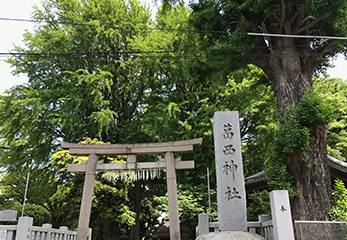 葛西神社 鳥居