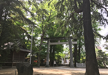 葛西神社 鳥居