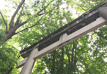 葛西神社 鳥居