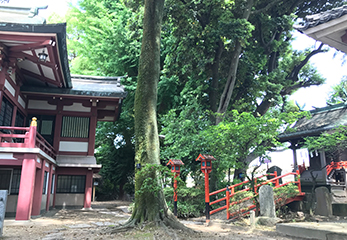 葛西神社 境内奥への道