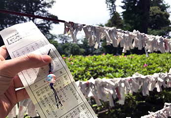 葛西神社 おみくじ