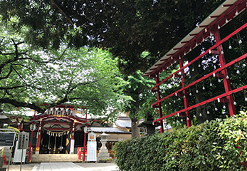 居木神社 境内