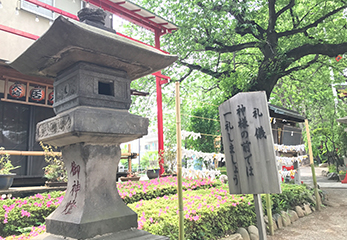居木神社 石灯籠