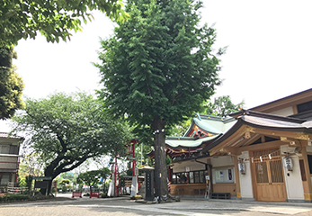 居木神社 境内