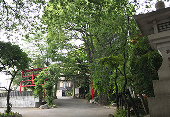 居木神社 境内