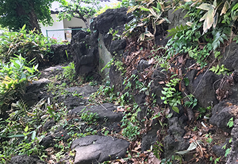 居木神社 富士塚