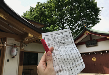 居木神社 おみくじ