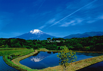 富士山