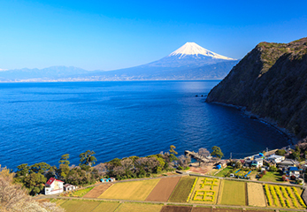 駿河湾