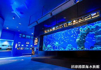 沼津港深海水族館～シーラカンス・ミュージアム～