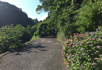 下田公園