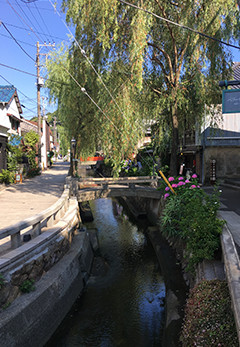 下田の街並み