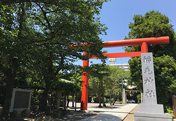 稲毛神社 鳥居