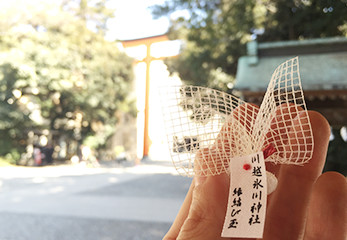 川越氷川神社 縁結び玉