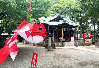 代々木八幡宮 龍神人形