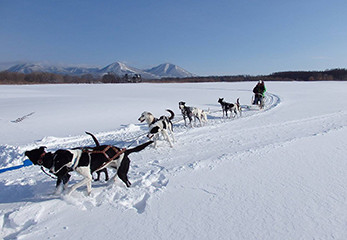 北海道十勝地方の雄大な自然