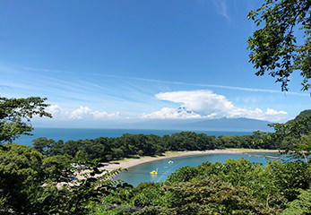 健康の森 展望地から眺め。港の湾と海のキラキラ輝く感じもイケてます。