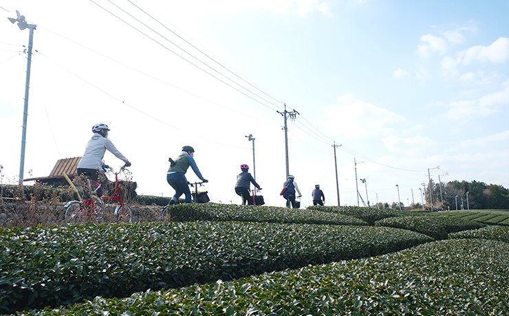 お茶の魅力と牧之原台地開拓150年の歴史を自転車で辿る