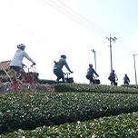 お茶の魅力と牧之原台地開拓150年の歴史を自転車で辿る SURUGA Cycle Journal Vol.36