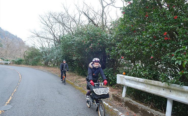 自転車で楽しむ冬の湯河原散歩