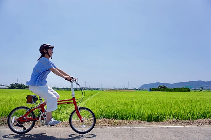 平塚市サイクリング 