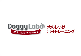 Doggy Labo