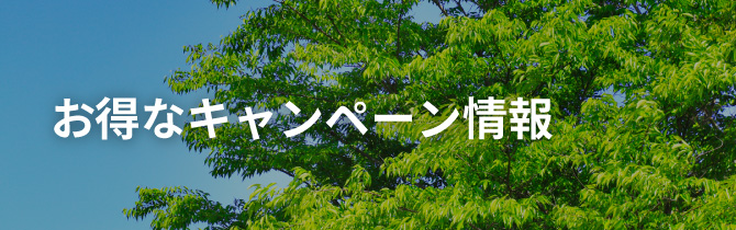 お得なキャンペーン情報