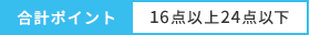 合計ポイント 16点以上24点以下