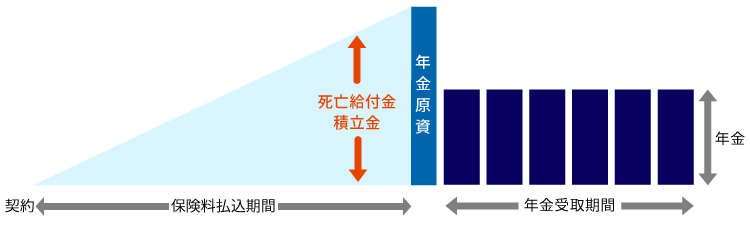 平準払個人年金保険