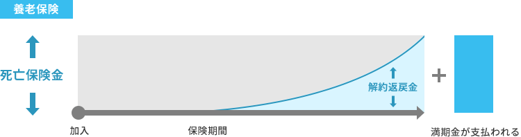 養老保険