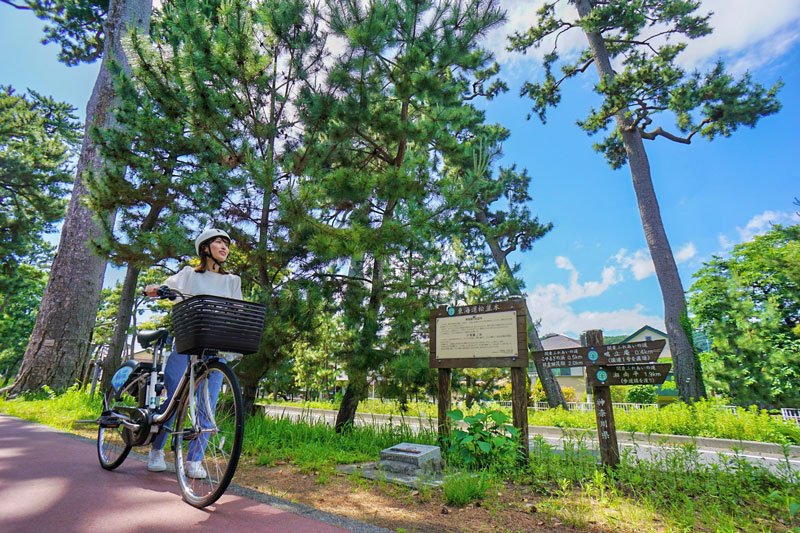 シティプロモーション「湘南シェアサイクル　東海道旅」撮影の様子